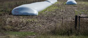 Los productores tienen soja por US$12.150 millones mientras la exportación busca cubrir ventas