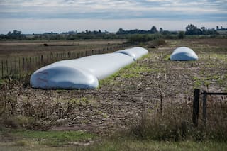 Los productores tienen soja por US$12.150 millones mientras la exportación busca cubrir ventas