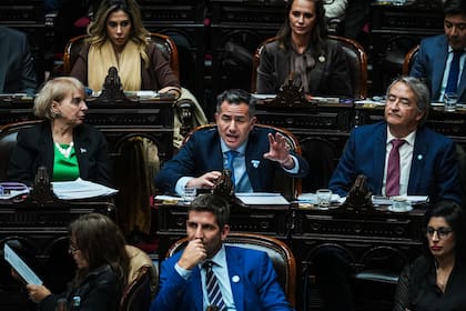 Silvana Giudici, Gabriel Bornoroni y Nicolás Mayoraz, en el centro del bloque libertario