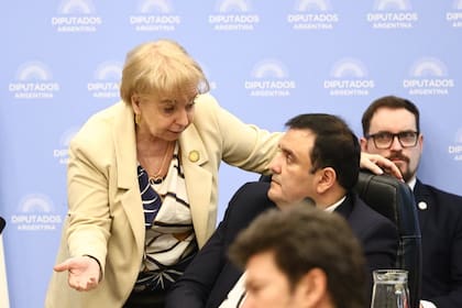 Silvana Giudici junto al presidente de la Comisión de Discapacidad, el libertario Gerardo Huesen