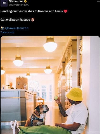 Silverstone rezó por Roscoe, el perro de Hamilton