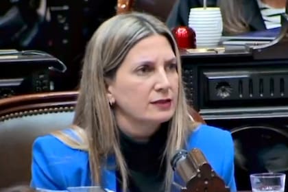 Silvia Lospenatto planteó una moción de repudio contra Fernando Espinoza