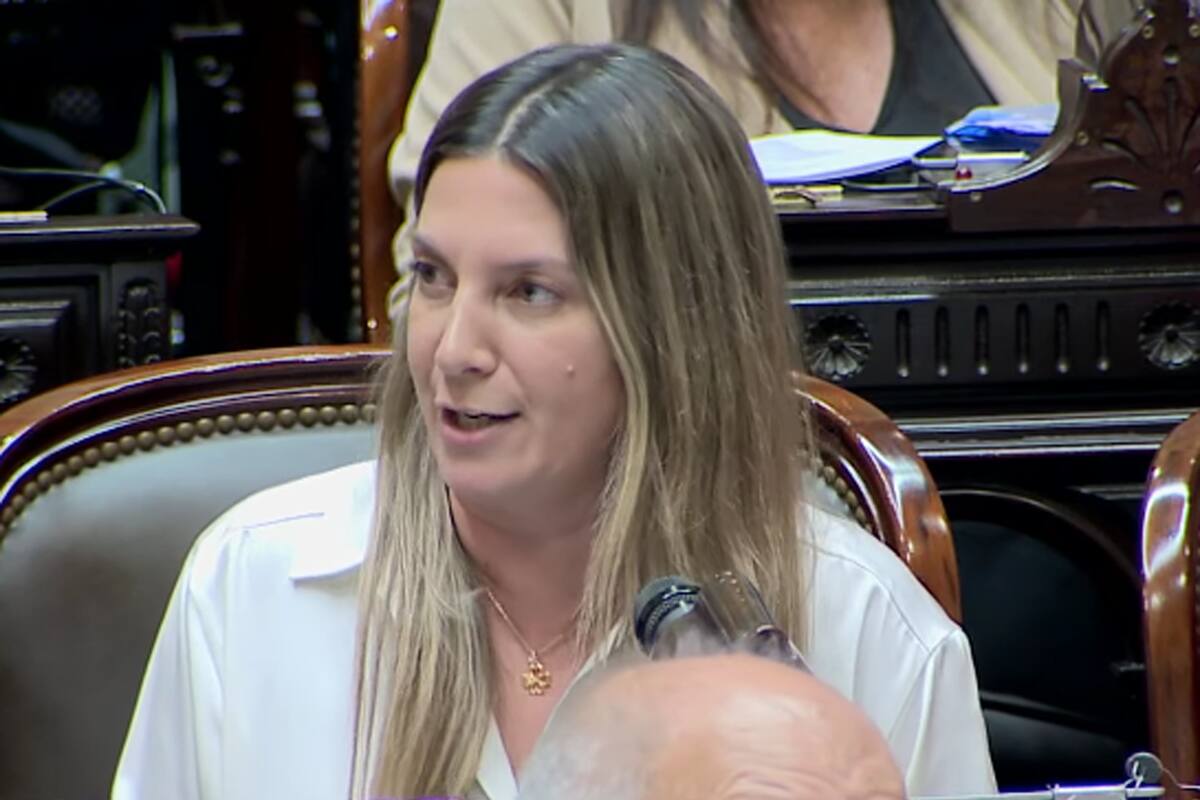 Silvia Lospennato dijo que faltan dos votos para la aprobación de ficha limpia en el Senado y le pidió a la sociedad que “presione”