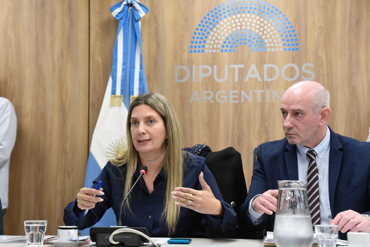 Silvia Lospennato, presidenta de la Comisión de Peticiones