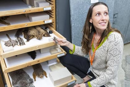 Silvia Pavan, profesora de Ciencias Biológicas en la universidad Cal Poly Humboldt, descubrió una nueva especie