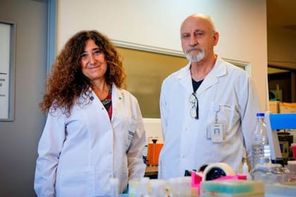 Silvia Sookoian y Luis Diambra, los investigadores detrás del descubrimiento sobre el hígado graso
