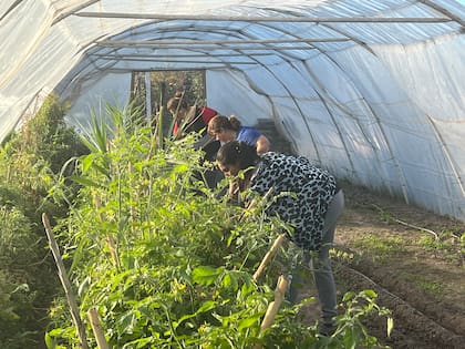 Silvia, su mamá, trabaja en la huerta de la Cooperativa La Comunitaria en Santa Isabel