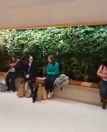Silvina Batakis en el Apple Store de la Quinta Avenida, en Nueva York (Foto: Captura de video)