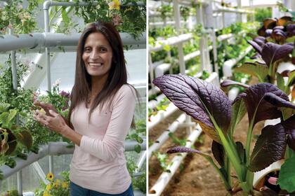 Silvina Beltrán entró al mundo de la hidroponía de la mano de emprendedores del delta bonaerense y se capacitó en universidades de México y Brasil.