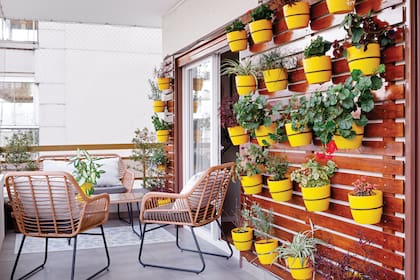 Simple pero de gran notoriedad, el recurso vale para ambientar patios y balcones: un panel de pino del que cuelgan 25 macetas amarillas.