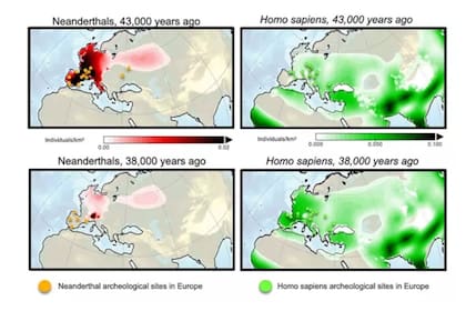 Simulaciones de cambios en la densidad de población de Homo sapiens y Neandertales