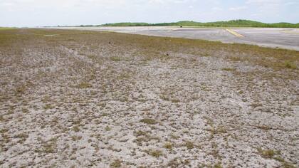 Sin desarrollar: el área que posee el aeropuerto es hoy un pantano sin desarrollar de más de 10.000 hectáreas. "Se supone que sería el aeropuerto del mañana", señaló el administrador del aeropuerto, Lonny Craven