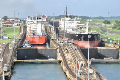 “Sin el apoyo adicional generado por este flujo en la astenosfera, los océanos Atlántico y Pacífico estarían conectados sin necesidad del Canal de Panamá”, explicó Colli