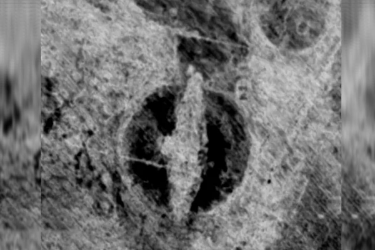 Sin excavar, hallaron un centro de rituales y entierro de barcos vikingos