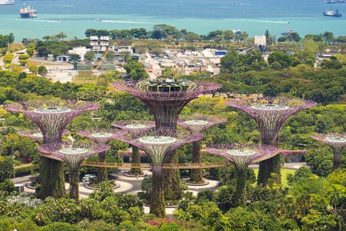 Singapur; BBC; BBC Mundo; aire acondicionado; Little India; Jardines de la Bahía de Singapur;