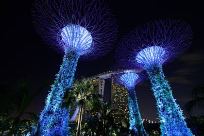 Singapur lidera el ranking y ostenta el pasaporte más poderoso, con acceso sin visado a 195 destinos