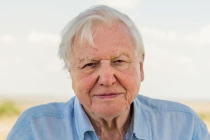 Sir David Attenborough, con 95 años, hablará durante la cumbre COP26 que comienza el próximo 31 de octubre