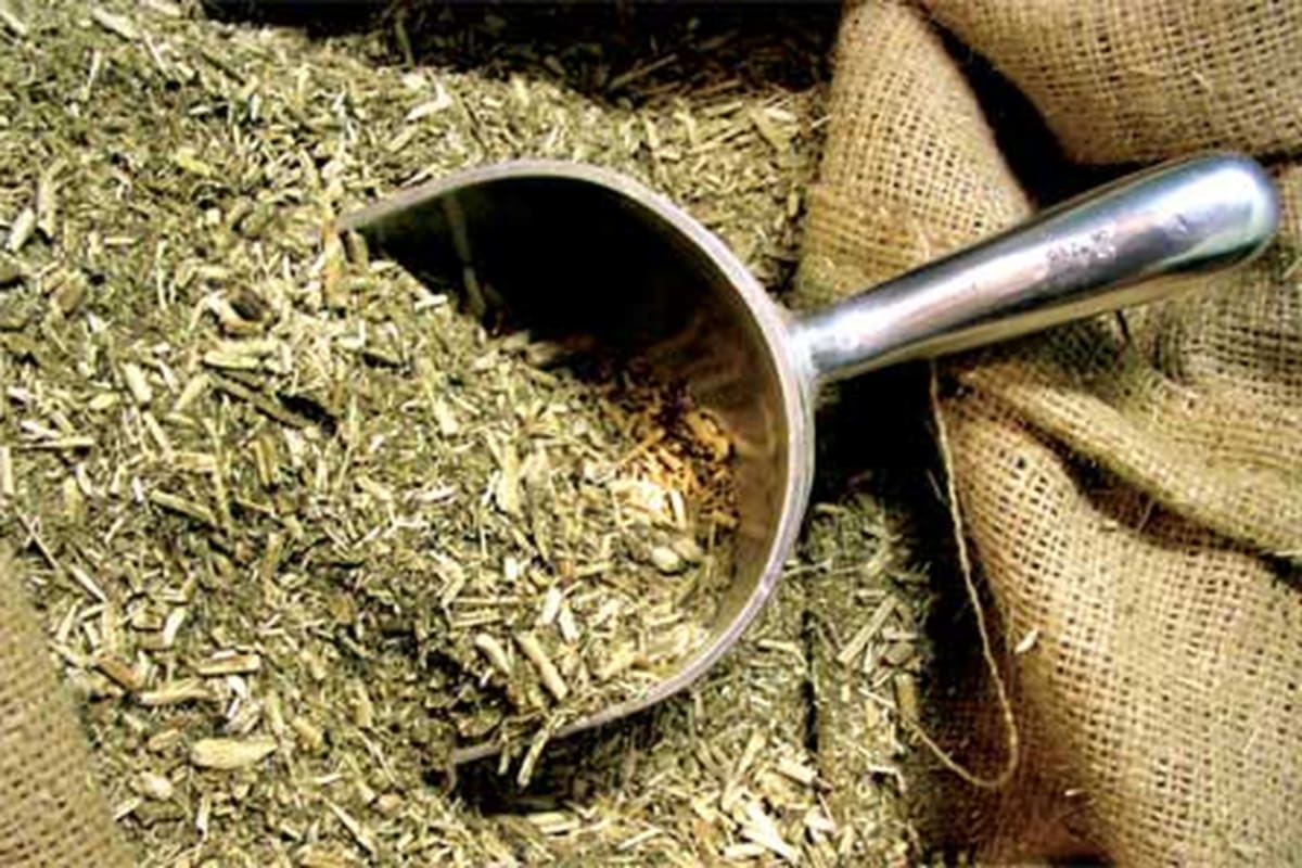 Siria compra el 80% de la yerba argentina. Puso precios máximos internos para la venta en góndolas