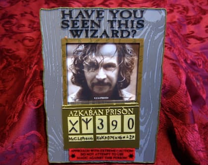 Sirius Black, buscado intensamente en El Prisionero de Azkaban, termina siendo un aliado de Harry Potter y representa a las personas de Sagitario