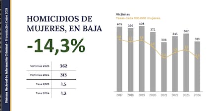 Sistema Nacional de Información Criminal del Ministerio de Seguridad