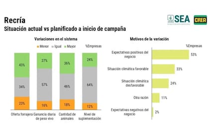 Situación de la cría