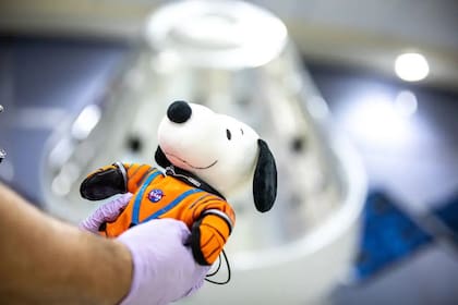 Snoopy es considerado un símbolo espacial (Foto: NASA)