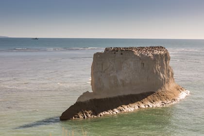 Sobre el mar, una colonia de cormoranes.