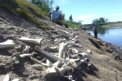 Sobre la margen izquierda del río Arrecifes, a pocos kilómetros de la localidad de Doyle, en el partido de San Pedro, se encontraron centenares de huesos de caballos que perecieron durante la Gran seca, entre 1827 y 1832.