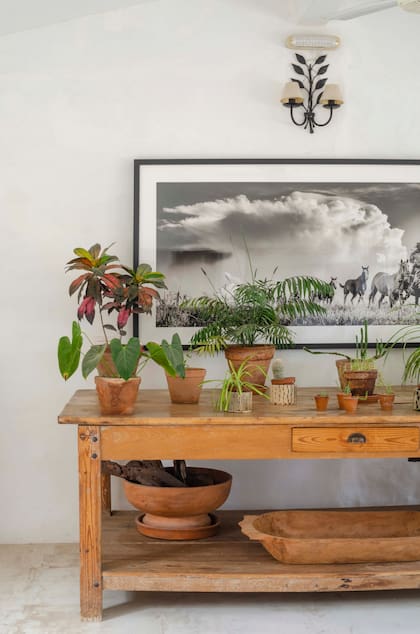 Sobre la mesa antigua, elegida con precisión por Stéphanie Fenestraz, dueña de House of Jazmines, fotografía de Marcos Furer.