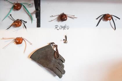 Sobre la pared, el equipamiento de los cuatro halcones entrenados por François.