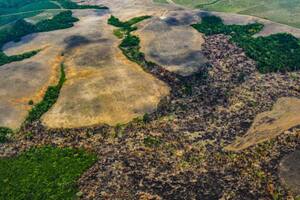 Sobrevuelo realizado por la Fundación para la Conservación y Desarrollo Sostenible en marzo del 2020 en bosque ya tumbado en la Amazonia