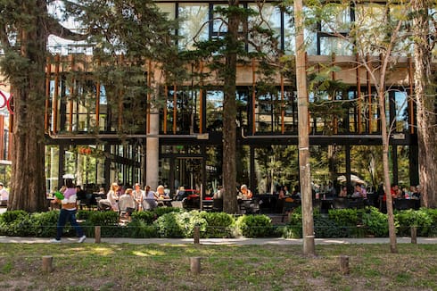 La zona con bosque propio en las afueras de la Ciudad que promete un boom inmobiliario