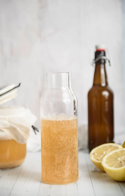 Soda casera de limón y jengibre,el secreto de esta bebida es el “ginger bug”, una colonia simbiótica que genera gas natutral por fermentación de azúcares
