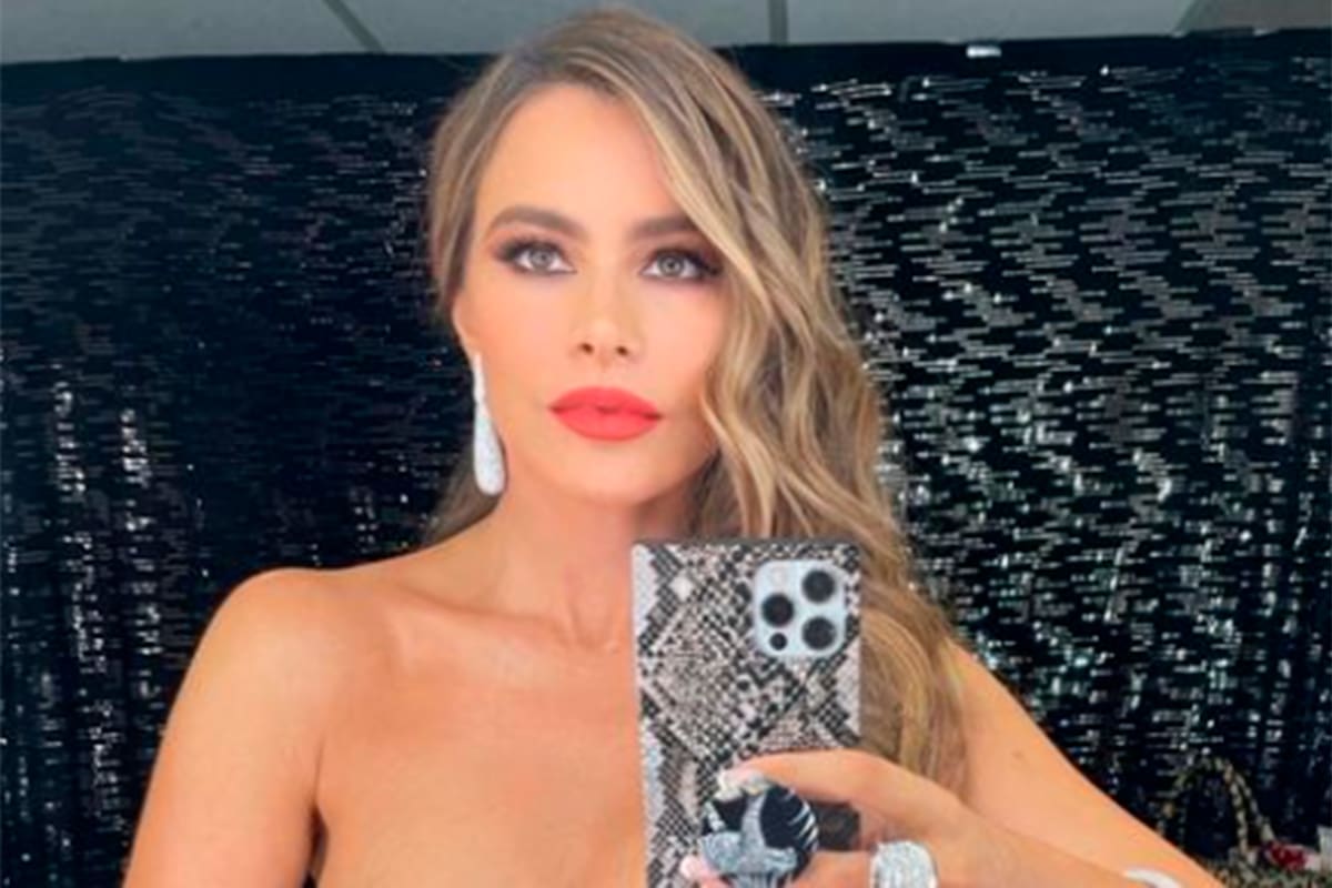 Sofía Vergara compartió una foto de la cicatriz que le que quedó tras haber sido operada de cáncer