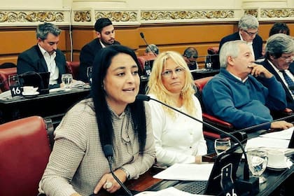 Soher El Sukaria durante una sesión de la legislatura cordobesa