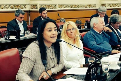 Soher El Sukaria durante una sesión de la legislatura provincial