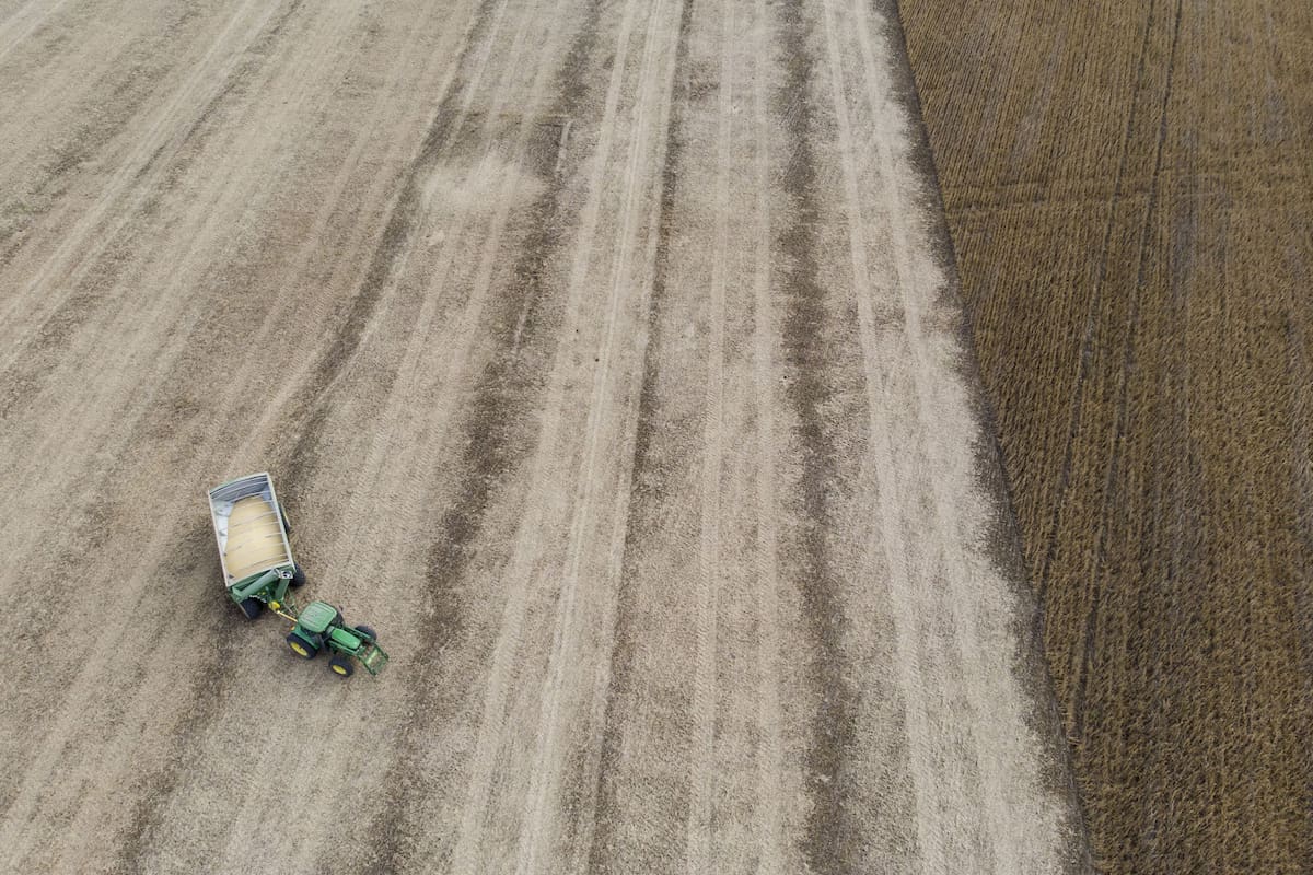 SOJA
Una oportunidad para dejar atrás el estancamiento