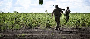 La escalada en la guerra entre Rusia y Ucrania vuelve a tensionar el mercado de granos