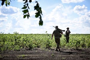 La escalada en la guerra entre Rusia y Ucrania vuelve a tensionar el mercado de granos