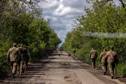 Soldados ucranianos en patrulla en la región de Donetsk de Ucrania