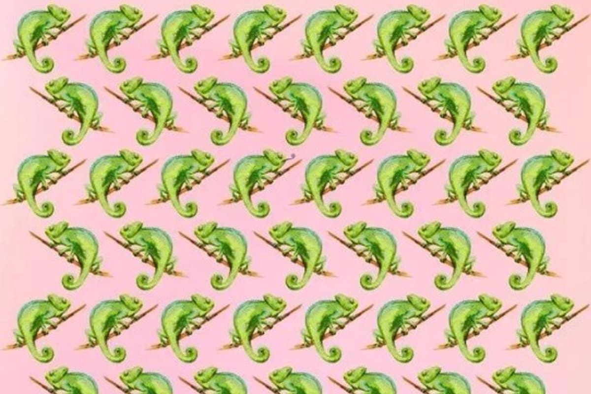 Solo el 1% de las personas logra dar con la respuesta a tiempo.