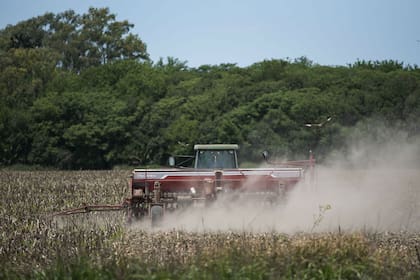 Solo el 20% de la región núcleo superó los 100 mm con lluvias desde el 13 de noviembre pasado