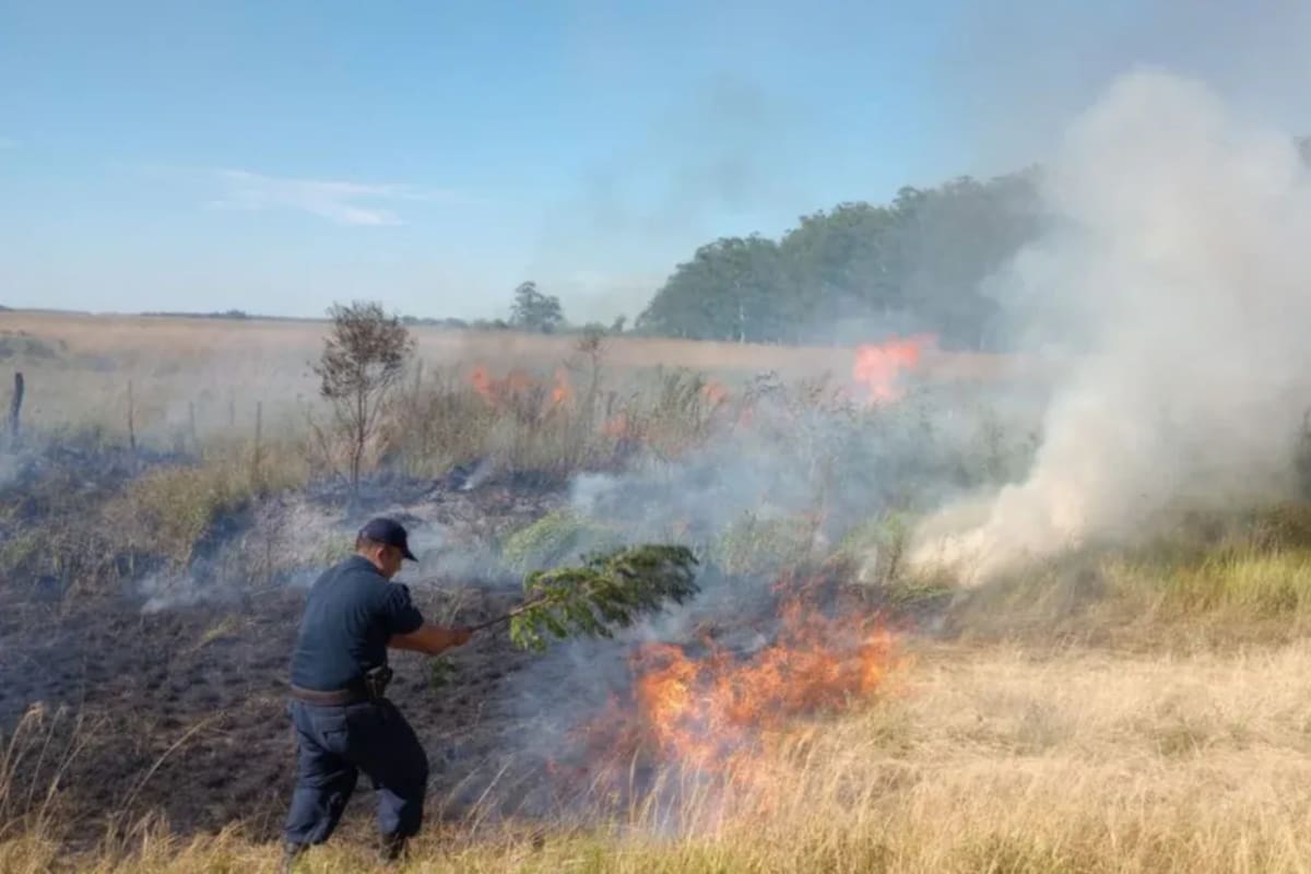 Solo en los primeros siete días de este mes, el fuego en Corrientes asoló miles de hectáreas