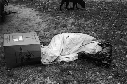 Solo para difusión de la publicación. No publicar en otro contexto