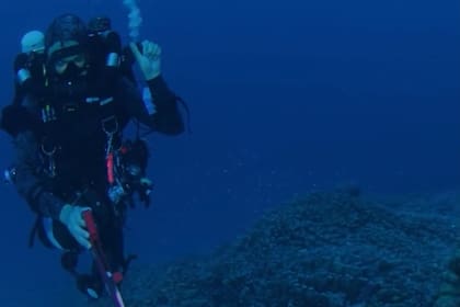 Solo poco más del 8 % de los océanos están protegidos, para mantenerlos a salvo se requiere proteger un 30%. (IG National Geographic)