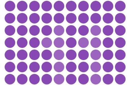 Solo tendrás 10 segundos para dar con el número oculto.