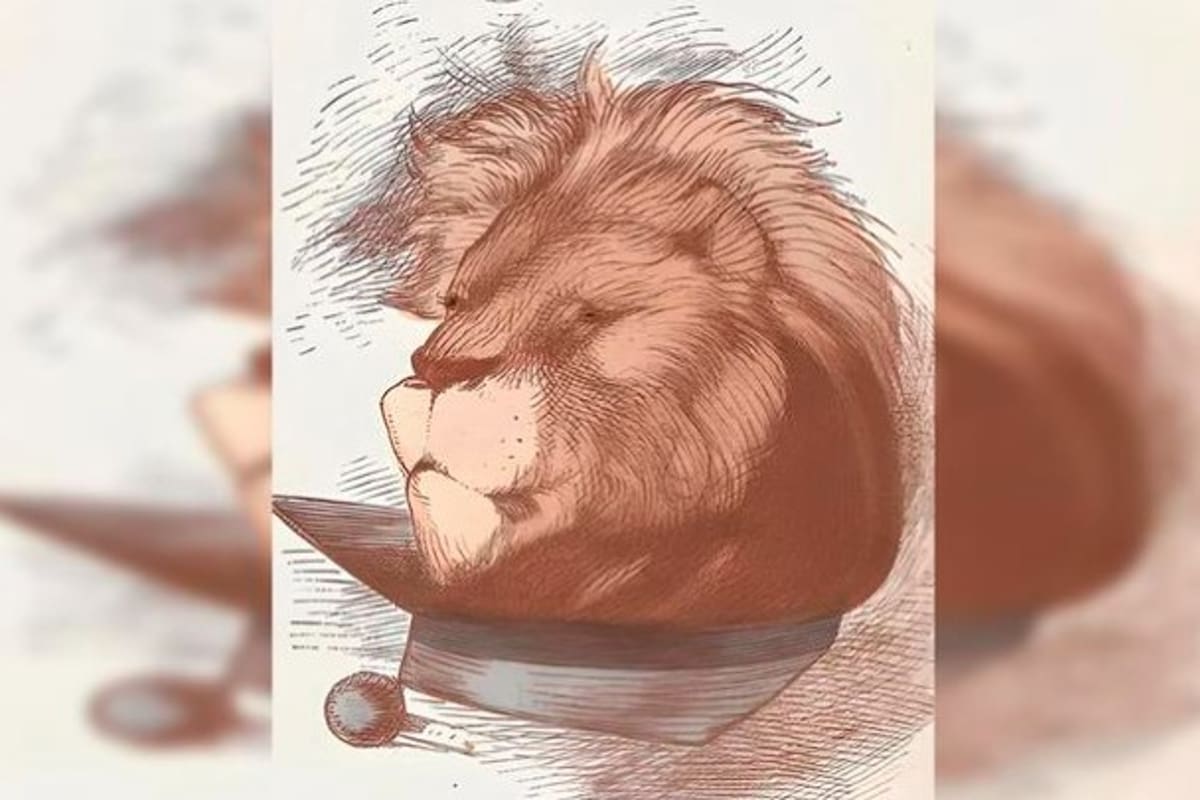 Solo tenés cinco segundos para encontrar al hombre en la imagen.