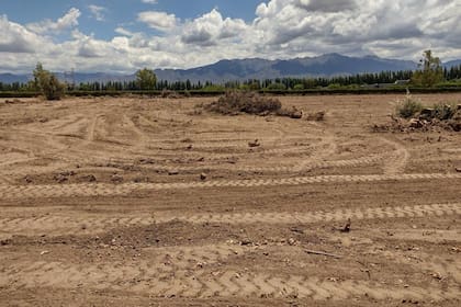 Solo tierra. Un exviñedo en Vistalba, Luján de Cuyo. Foto de Pablo Mannino