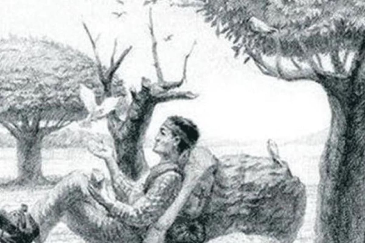 Solo un 5% de las personas puede dar con el caballo en solo 10 segundos.