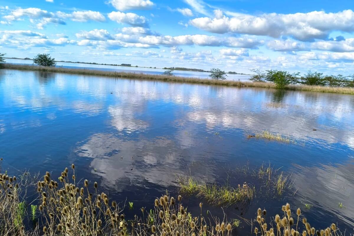 Son 125.000 las hectáreas afectadas en Bolívar